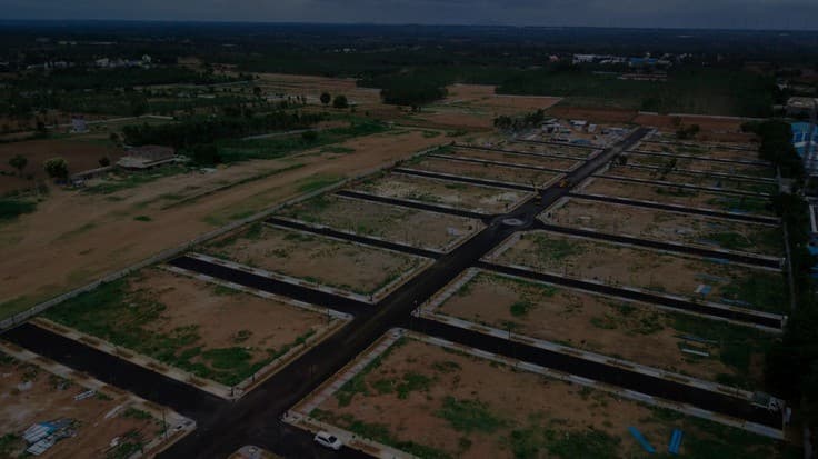 Professional land surveyor