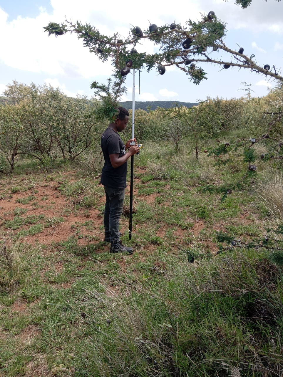 Kamulu land subdivision screenshot 2